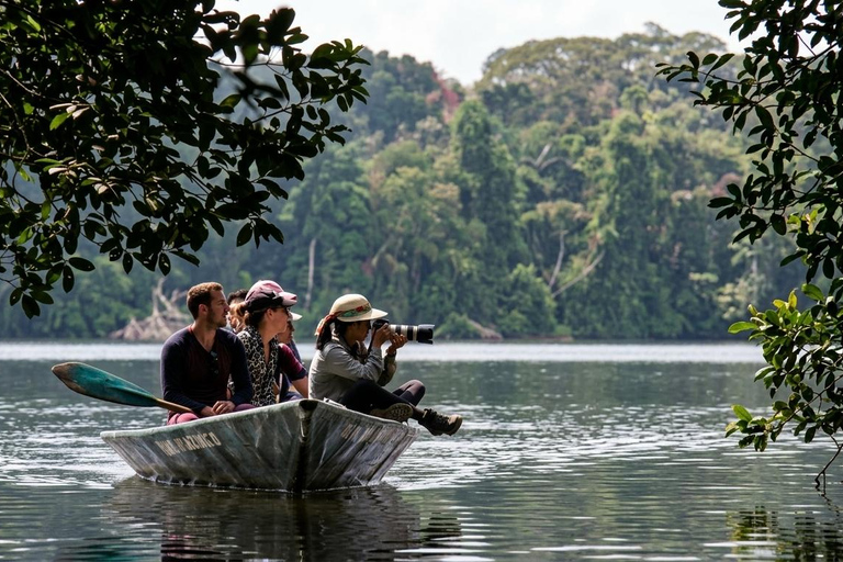 From Puerto Maldonado: Monkey Island, Kayak & Zipline