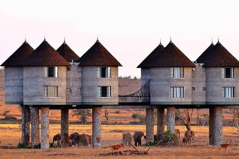 2 days 1 night saltlick safari from Diani/Mombasa.