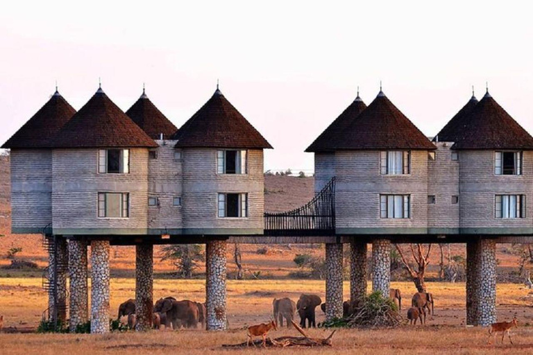 2 days 1 night saltlick safari from Diani/Mombasa.