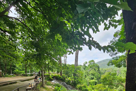 Chiangmai: Klebriger Wasserfall, Land der Engel und Wat ban den.