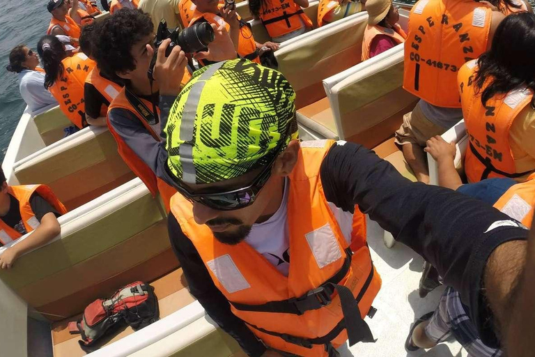 Depuis Lima : 2 jours Paracas Ica Huacachina et vignobles