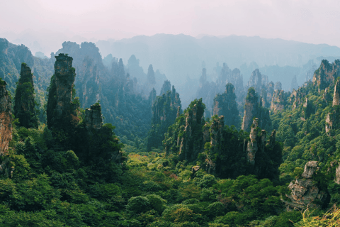 Parco Nazionale delle Foreste di Zhangjiajie: Ingresso con navetta