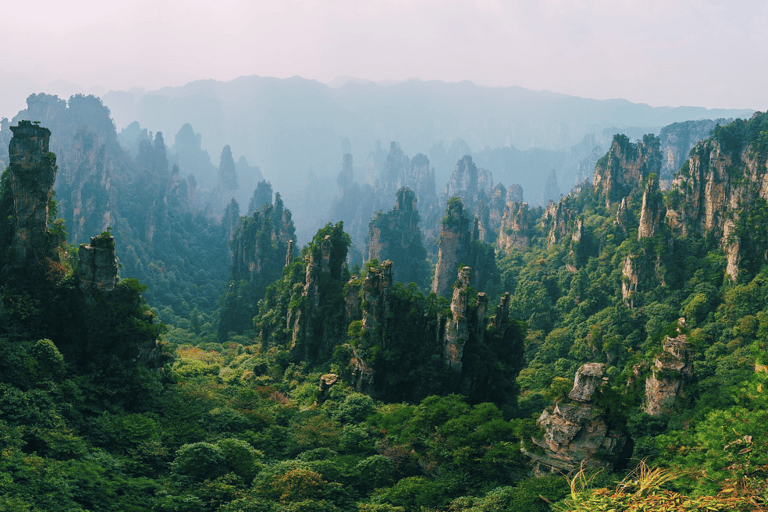 Parco Nazionale delle Foreste di Zhangjiajie: Ingresso con navetta