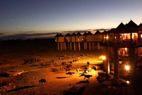 Salt Lick Safari Lodge: tour di 2 giorni da Nairobi o MombasaNairobi o Mombasa: tour di 2 giorni al Salt Lick Safari Lodge