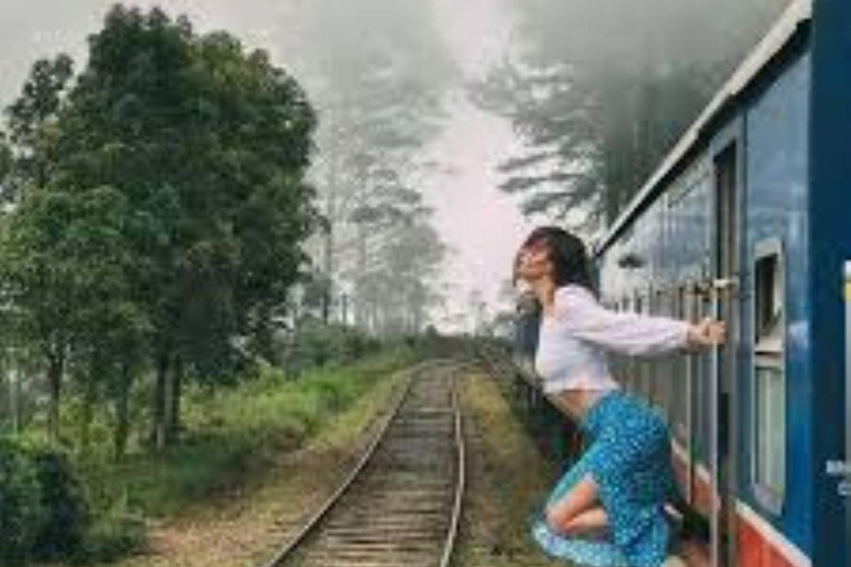 8-Night Sri Lanka Tour with Hotels