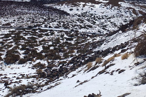 Private tour Tenerife: Teide National Park + Restaurant