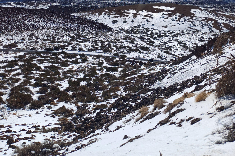 Private tour Tenerife: Teide National Park + Restaurant