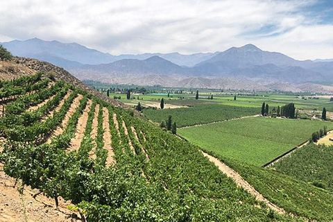 Portillo Cordigliera delle Ande Laguna Inca e degustazione di vini