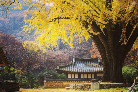 From Busan: Gyeongju Custom Private Day Tour with Pickup