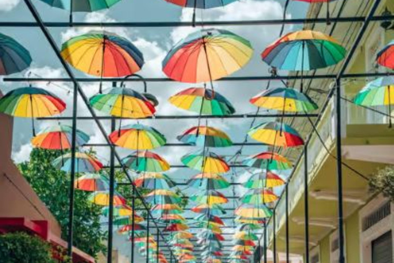 Private City Highlights Shore Excursion & Guided Tour