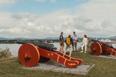 Oslo : Circuit dans les îles