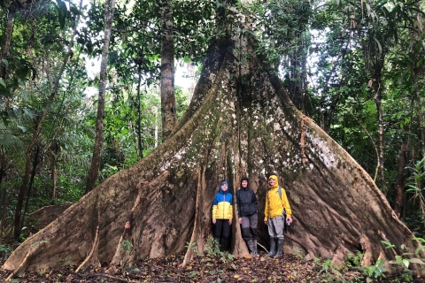 Iquitos : 3d2n Jungle Tour Pacaya Samiria National ReserveIquitos : 3d2n Amazon Tour Pacaya Samiria National Reserve