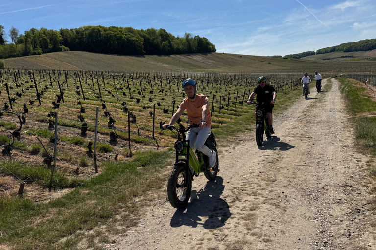 Champagne Vineyards: Tour through the heart of the vineyards on a fat tire e-bike Champagne Vineyards: Tour through the Heart of the Vines on a Fat E-Bike