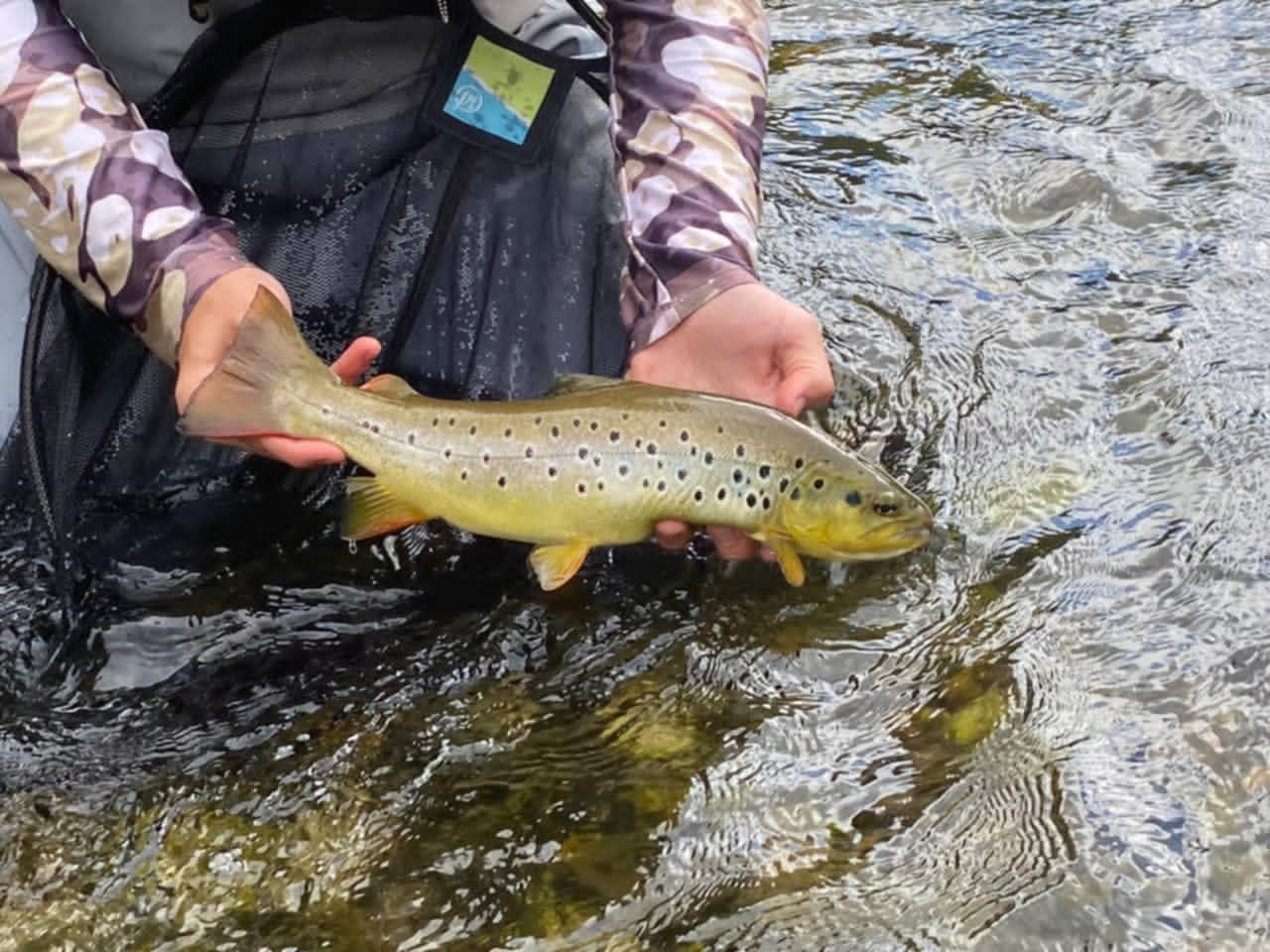 Bulgarien: Geführte Fliegenfisch-Tagestour