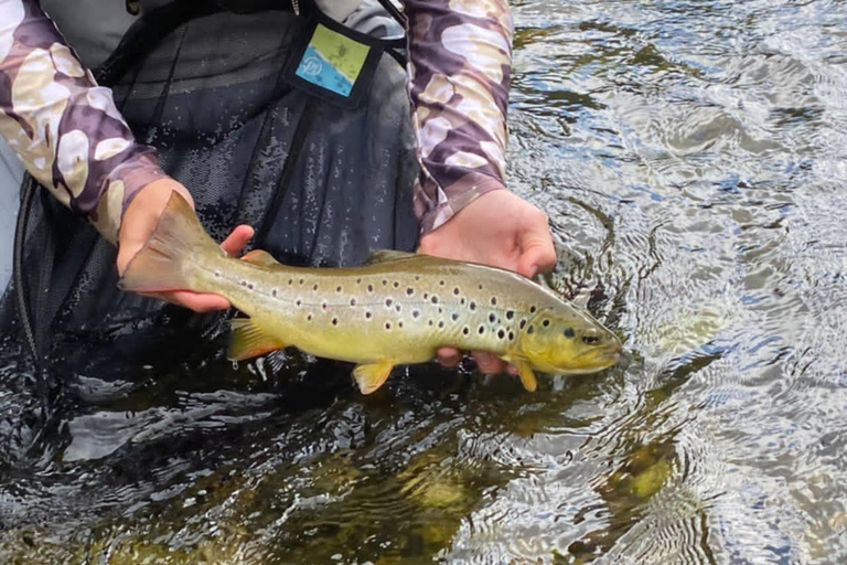 Bulgaria: Guided Fly Fishing Day Trip