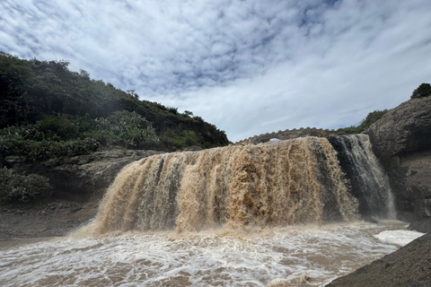 From Addis: Blue Nile Gorge, Baboons & Waterfalls