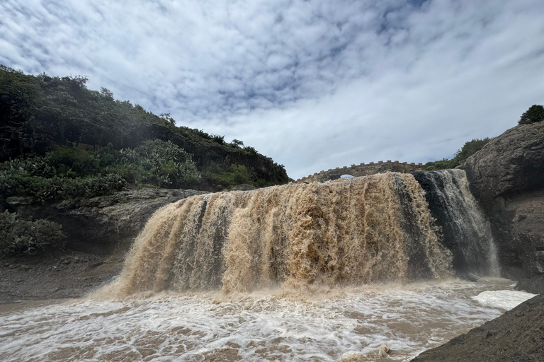 From Addis: Blue Nile Gorge, Baboons & Waterfalls