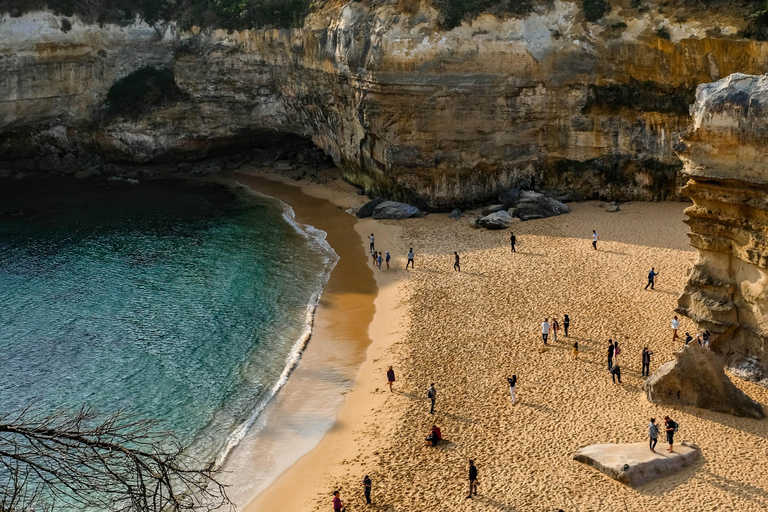 Melbourne: Great Ocean Road Day Tour with Bilingual Driver