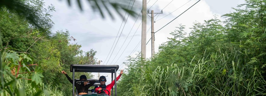 Visite d'une jounée combinée Art et Forêt