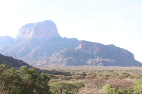 3 Dagen Safari in Samburu, Buffelsbronnen en Shaba Reservaat