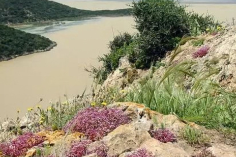 From Tunis: Utica, Ghar el-Melh, and Bizerte Day Trip
