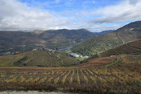 Douro Valley: Private Wine Tour with Lunch