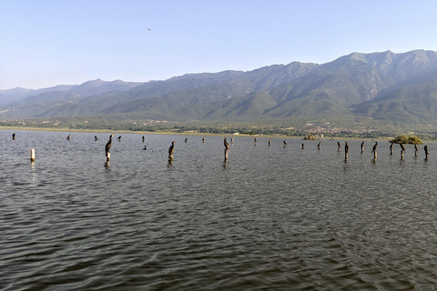 Desde Salónica: Lago Kerkini, paseo en barco y excursión de un día a una bodega