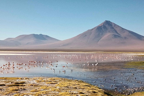 Salar Uyuni 3D with English guide, private accommodation.Salar Uyuni 3D mit englischem Guide, private Unterkunft.