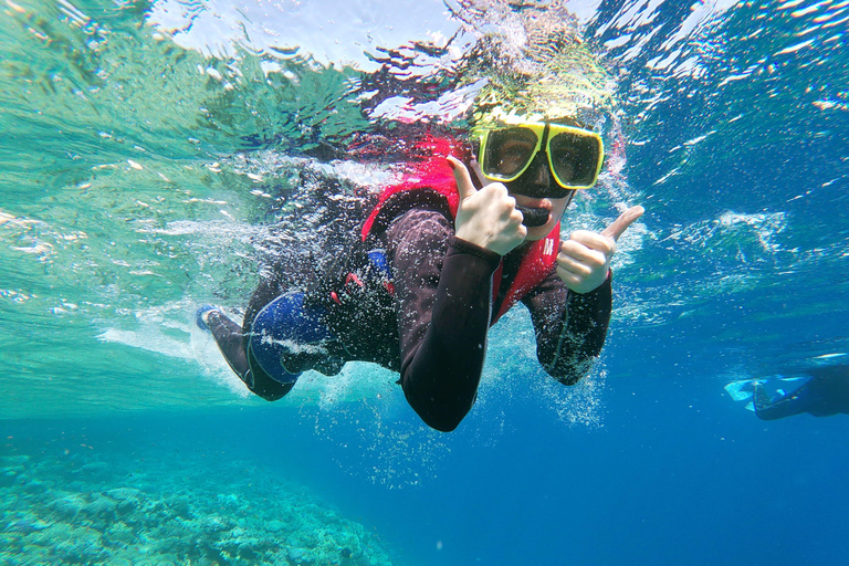 From Sharm El-Sheikh: Ras Mohamed Stingray Station Boat Trip