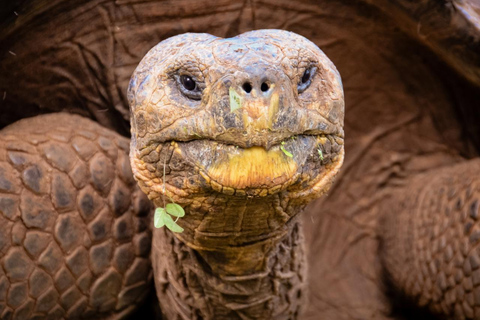 Santa Cruz in One Day with Arrival Transfer