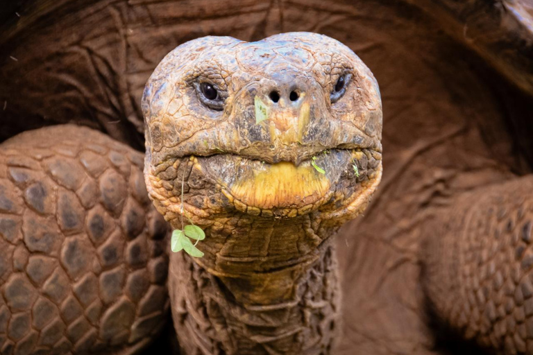 Santa Cruz in One Day with Arrival Transfer