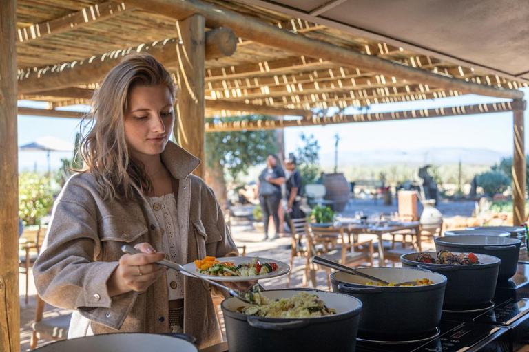 Cape Town: One-Day Safari with Game Drive & Lunch