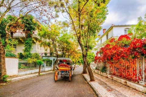 Istanbul: Princes' Islands Cruise with Lunch & Transfer Istanbul: Princes' Islands Cruise with Transfer