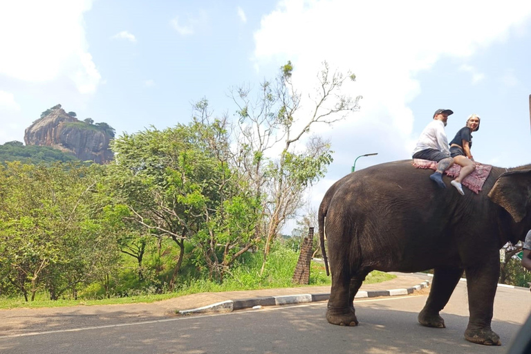 Colombo: Sigiriya Rock and Dambulla Cave Temple Day Trip