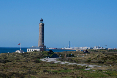 Maj 2025 Dania: Birding Tour z Skagen Fuglefestival