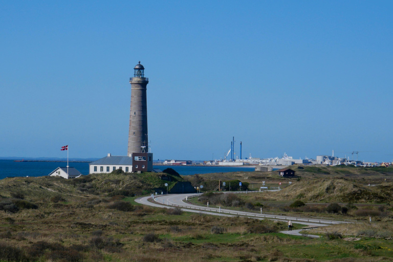 Maj 2025 Dania: Birding Tour z Skagen Fuglefestival