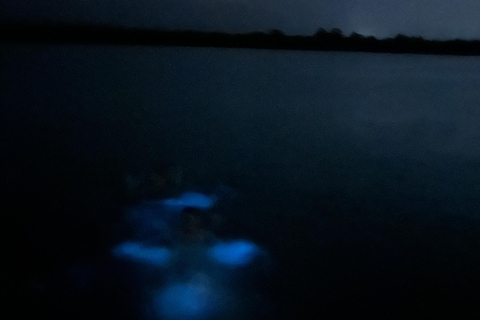 ULTIMATE Bioluminescence night time adventure with Brandon