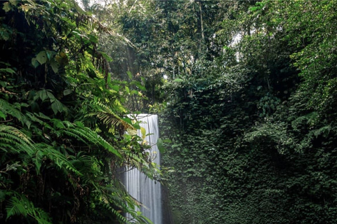 Ubud’s Waterfall Trail: Four Falls, One Day