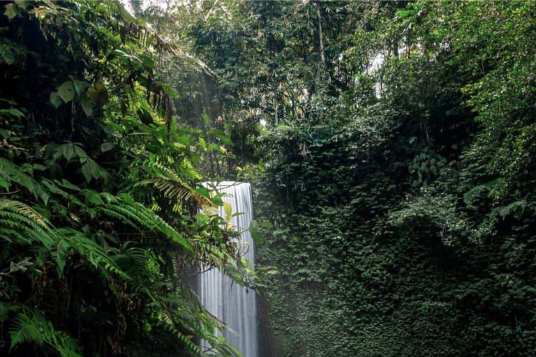 Ubud’s Waterfall Trail: Four Falls, One Day