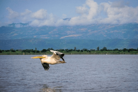 Addis Ababa: 8-Day Bahirdar, Gondar, Lalibela & Abune Yemata