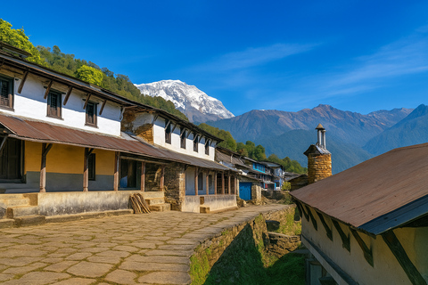 Pokhara: 5-Day Sikles & Kori Danda Trek with Meals