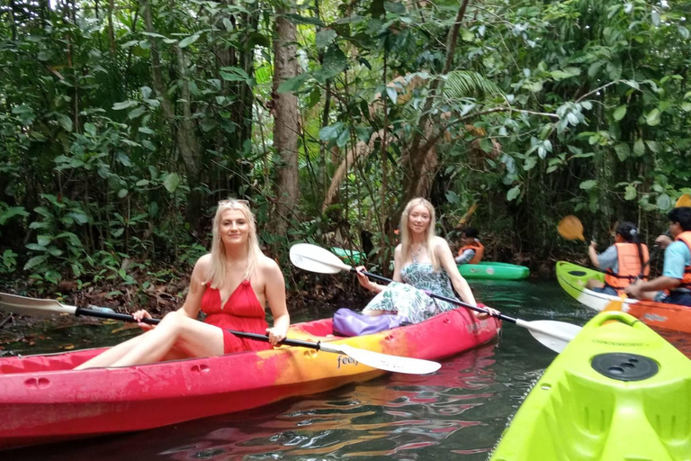 Ao Nang: Horse Riding Tour and kayaking clongrood