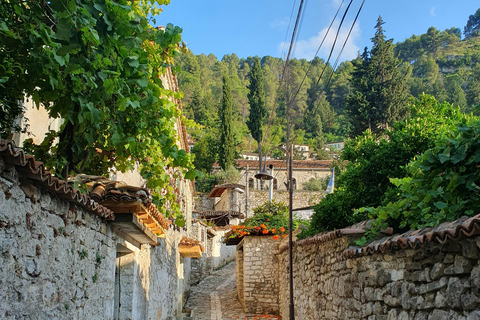 From Tirana: Berat Exploring Tour, Belshi Lake & Agrotourism