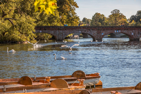 3Day Tour:LDN Oxford Warwick Cotswolds Stratford-Upon-Avon 2 Bedroom Cottage & Tour - 2 Guests