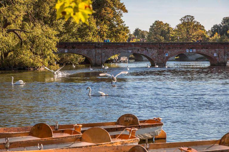 3Day Tour:LDN Oxford Warwick Cotswolds Stratford-Upon-Avon 2 Bedroom Cottage & Tour - 2 Guests