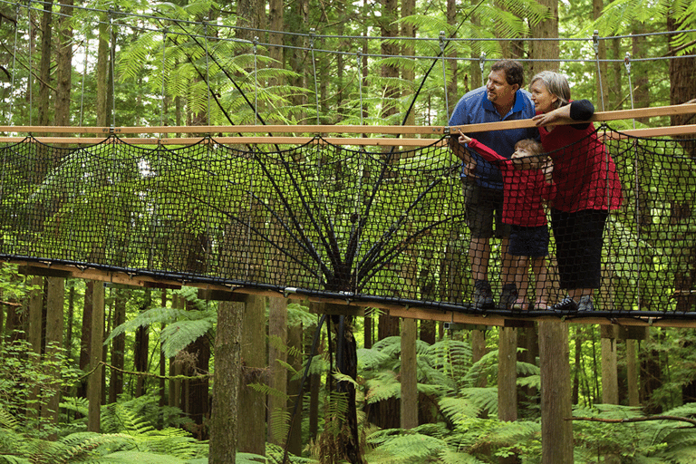 Rotorua: Lake Tarawera, Redwoods & Hot Tubs Tour