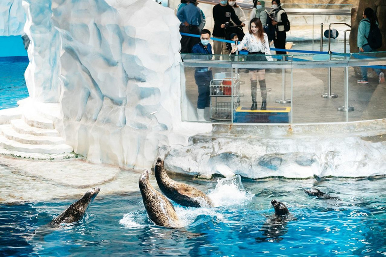 Hongkong: Ocean Park Animal Feeding &amp; Learning Experience