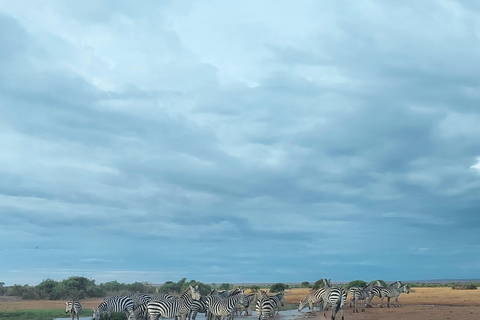 Red Elephants & Kilimanjaro Views: 3-day Tsavo East/Amboseli