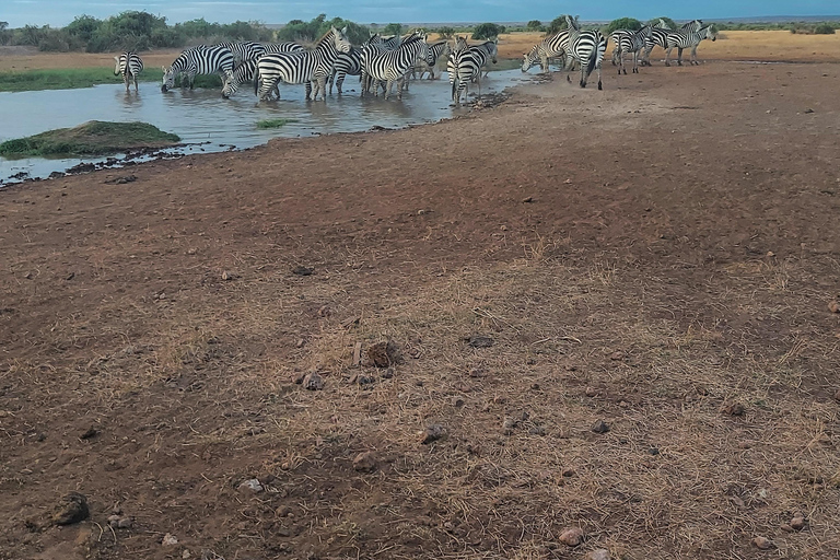 Red Elephants & Kilimanjaro Views: 3-day Tsavo East/Amboseli