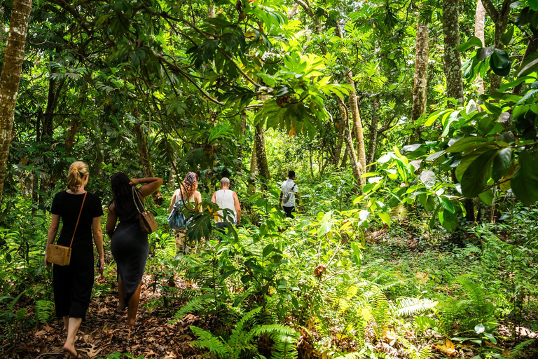 Secret Beach, Kuza Cave and Jozani forest with transfer